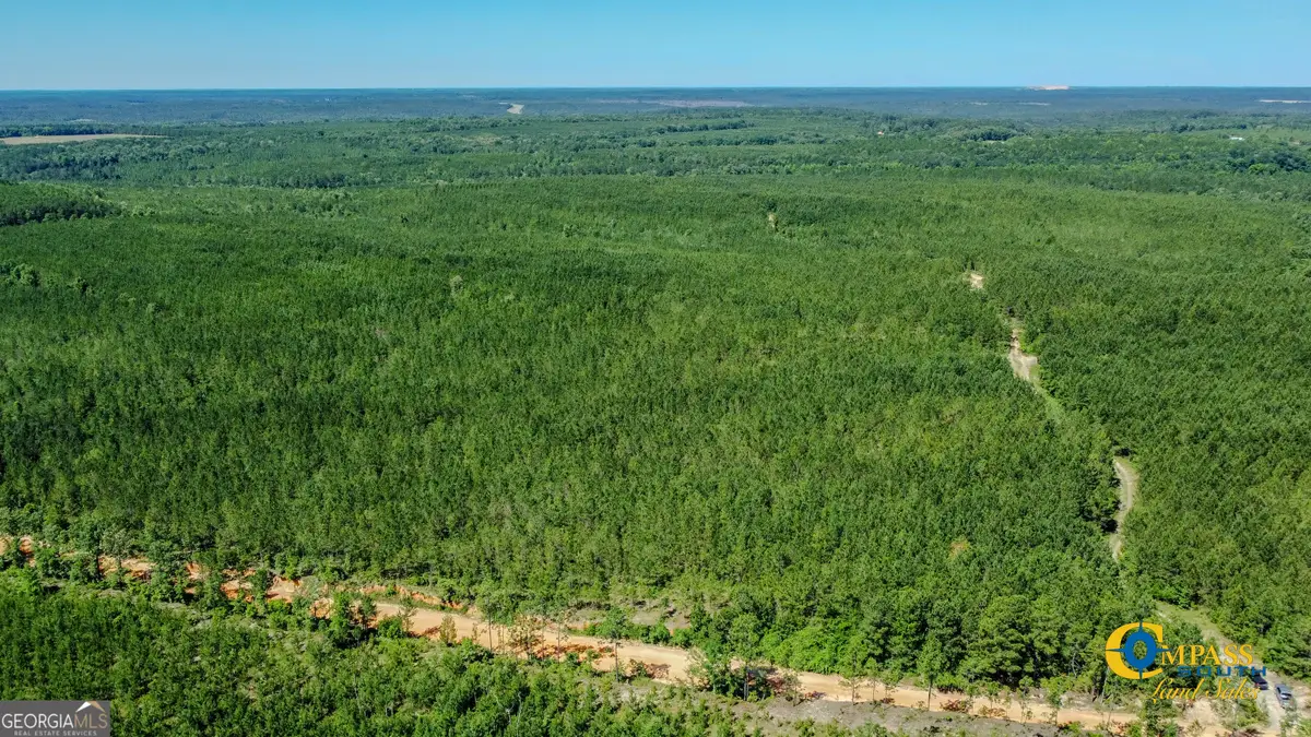 0 Allmon Road, Butler, GA 31006 - Image #1