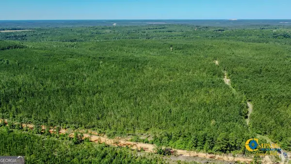 0 Allmon Road, Butler, GA 31006