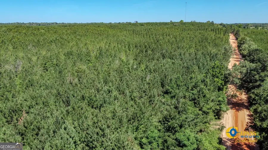 0 Allmon Road, Butler, GA 31006 - Image #3