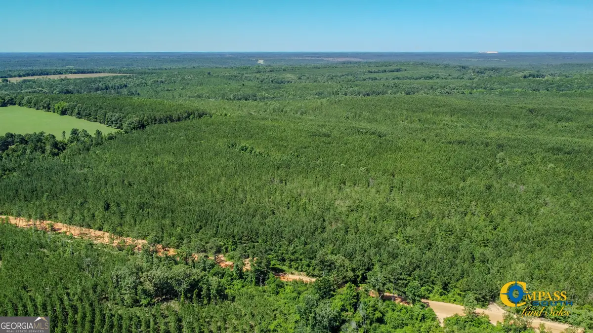 0 Allmon Road, Butler, GA 31006 - Image #1