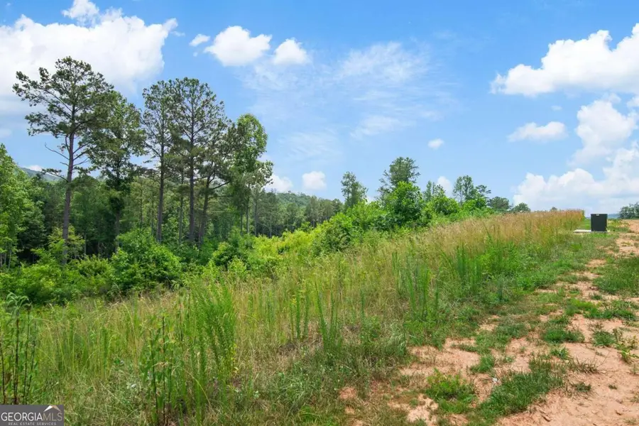 LOT 196 Oak Park Drive, Talking Rock, GA 30175 - Image #3