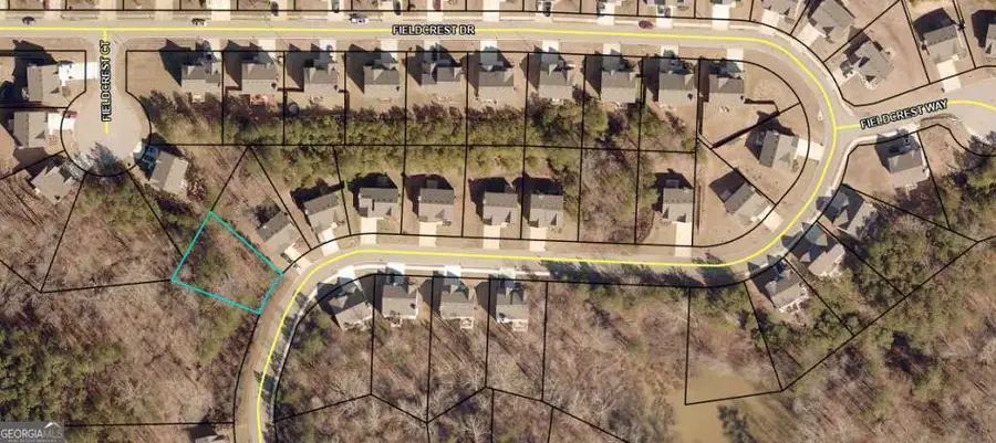 438 Fieldcrest Drive, Dallas, GA 30132 - #2