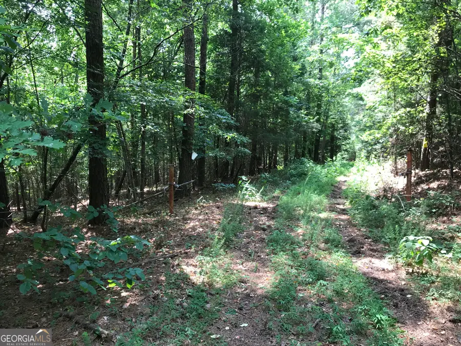 0 Moores Gin Road #9693, Fairmount, GA 30139 - Image #3