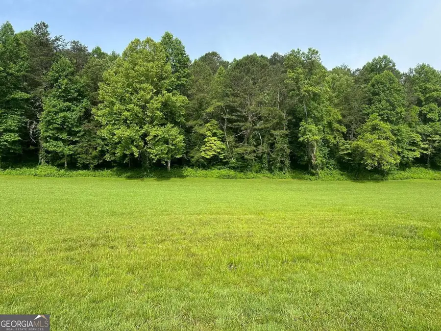 LOT 46 Prosperity Drive, Warne, NC 28909 - Image #2