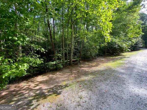 0 Sara Lane #LOT 6, Sautee Nacoochee, GA 30571