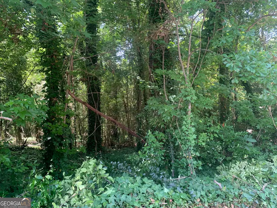 1171 Washington Street, Macon, GA 31204 - Image #2