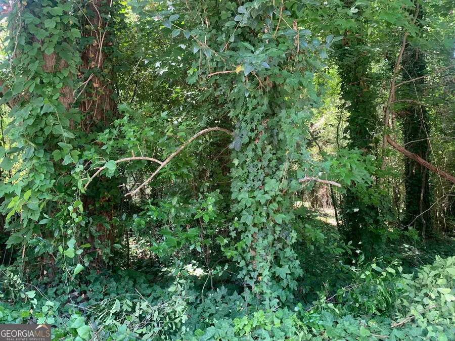 1171 Washington Street, Macon, GA 31204 - Image #3