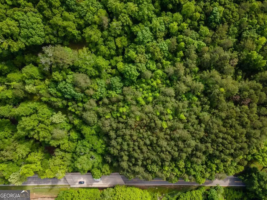 4.5 AC Hickory Flat Road, Woodstock, GA 30188 - #3