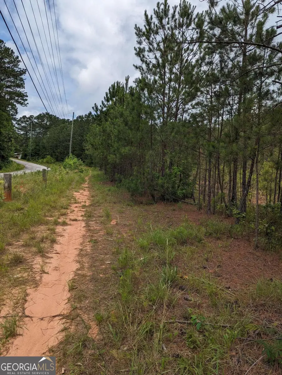 7900 Downs Road, Winston, GA 30187 - #3