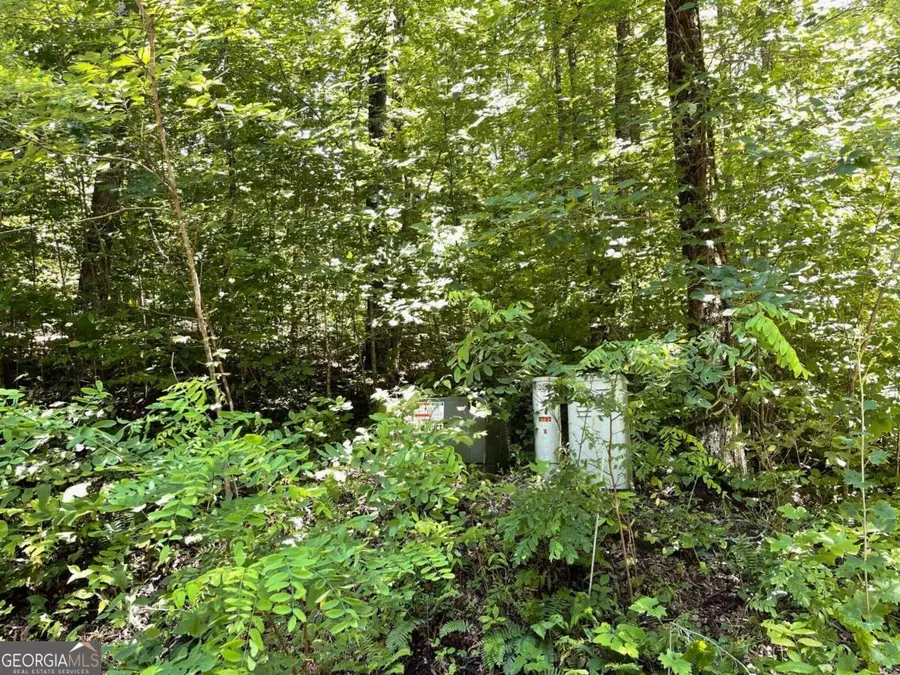 LOT 11 Fodder Creek Mill Drive, Hiawassee, GA 30546 - Image #3