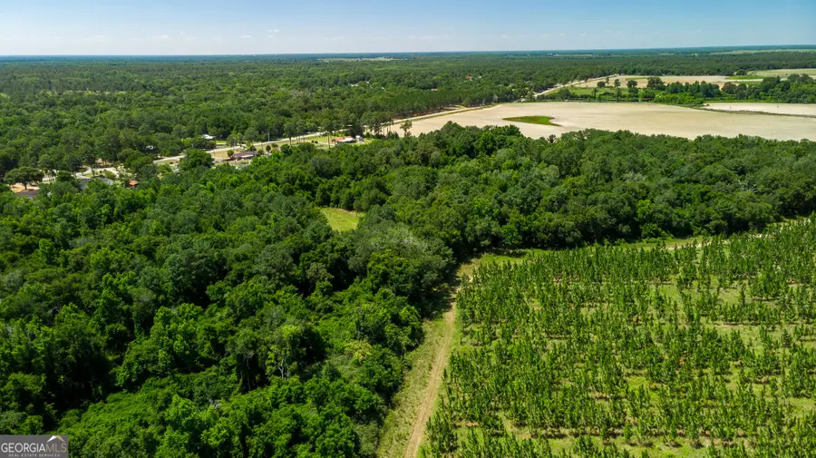 0 Graves Springs Road, Leesburg, GA 31763 - Image #2