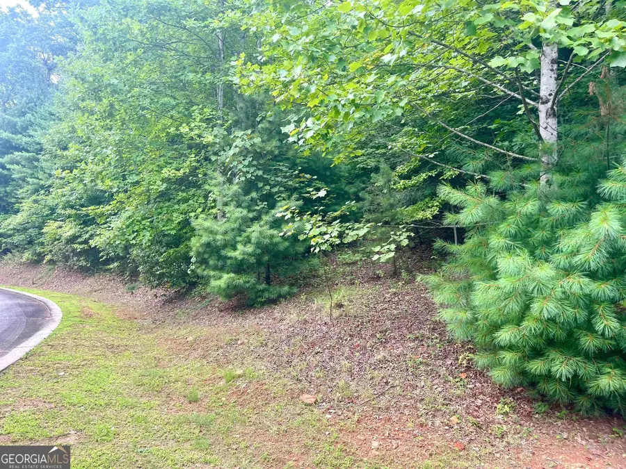 LOT 19 Wagstaff Way, Clayton, GA 30525 - Image #2