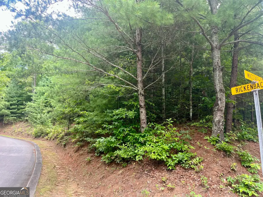LOT 19 Wagstaff Way, Clayton, GA 30525 - Image #3