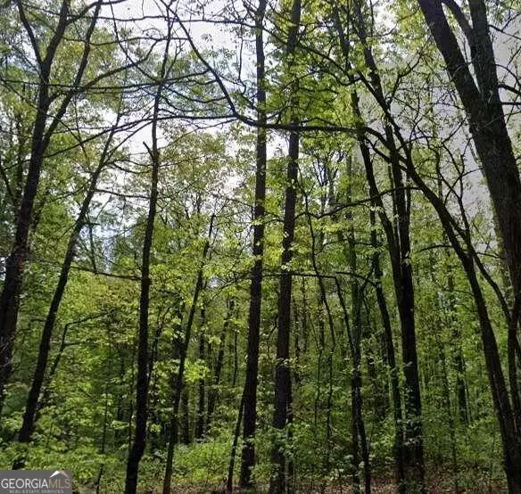 0 Carson Wages Road, Winder, GA 30680 - Image #2