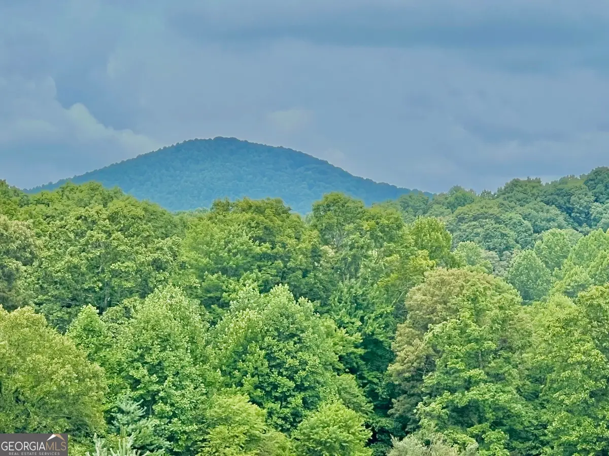 48 Madeline Way, Blairsville, GA 30512 - #1