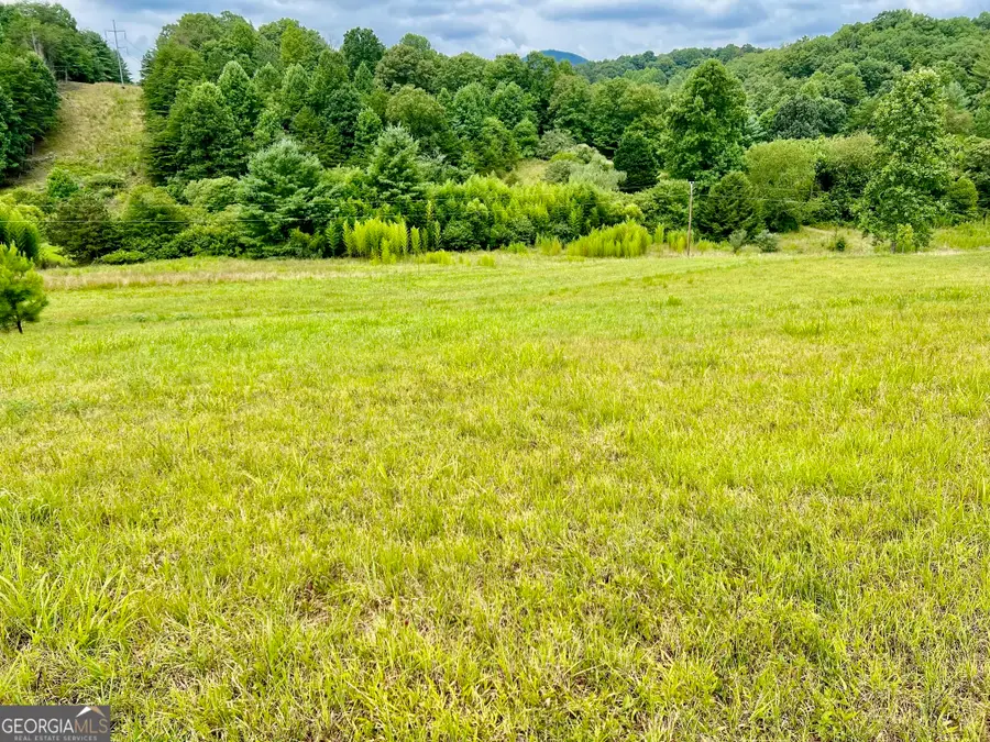 48 Madeline Way, Blairsville, GA 30512 - #3