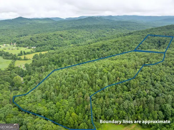 467 Gilliam Trail, Mineral Bluff, GA 30559