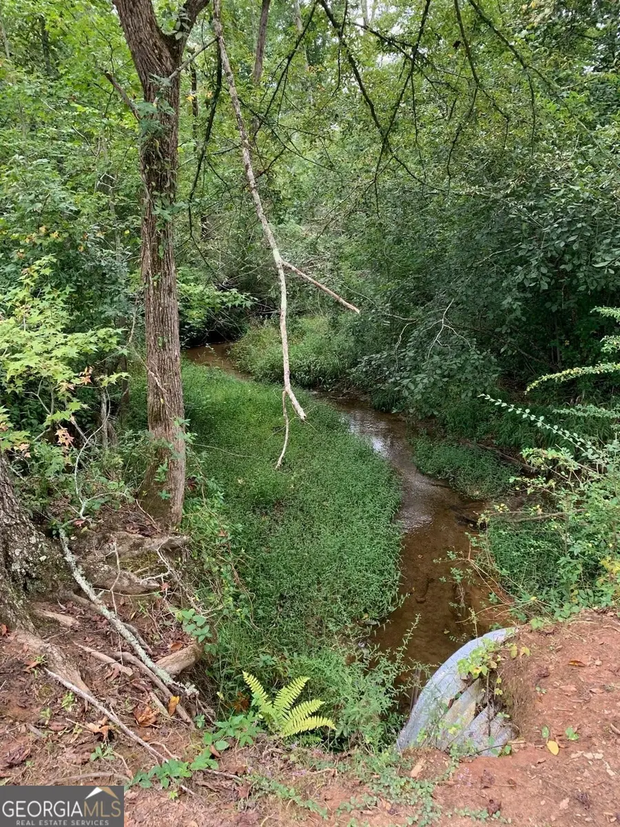 600 Hillview Road #TRACT 4, Hampton, GA 30228 - #2