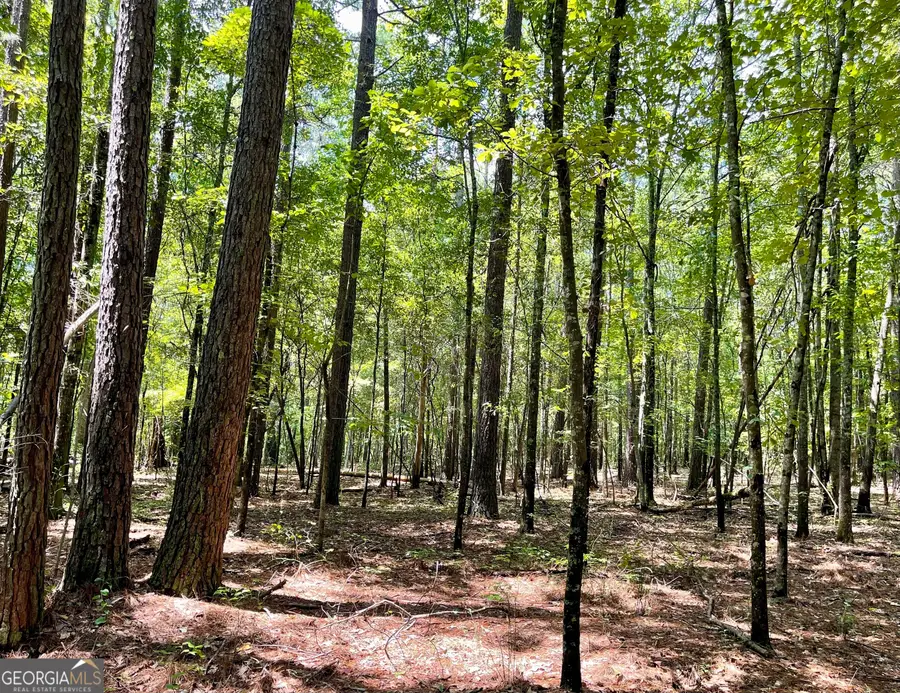 0 Welcome To Arnco Road, Newnan, GA 30263 - #2