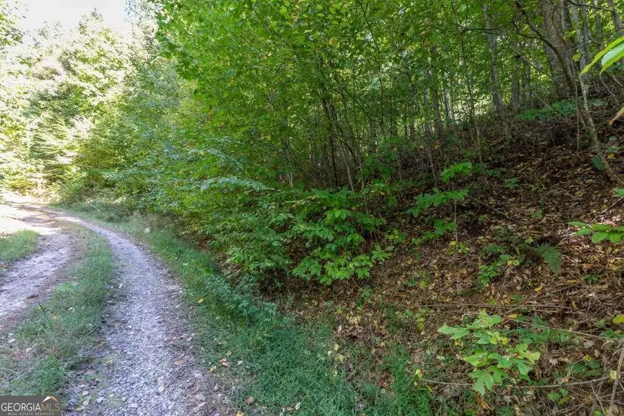 L2&3 Crab Apple, Blairsville, GA 30512 - #2