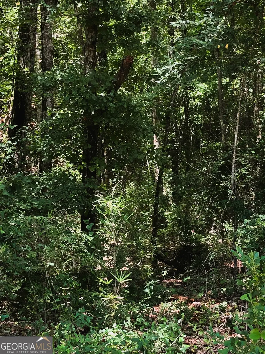 0 Raymond Wilkes Road, Rockledge, GA 30454 - Image #3