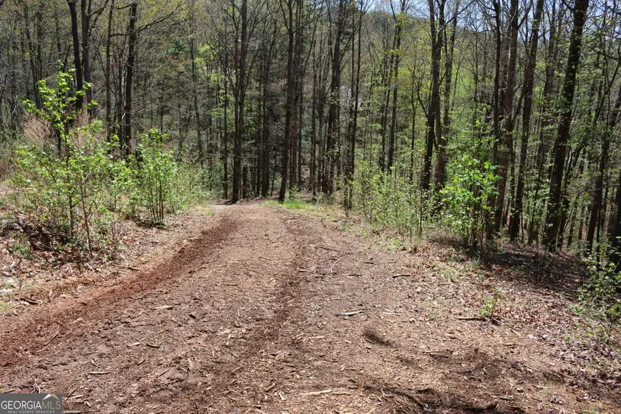 0 Chestatee Drive, Cleveland, GA 30528 - #2