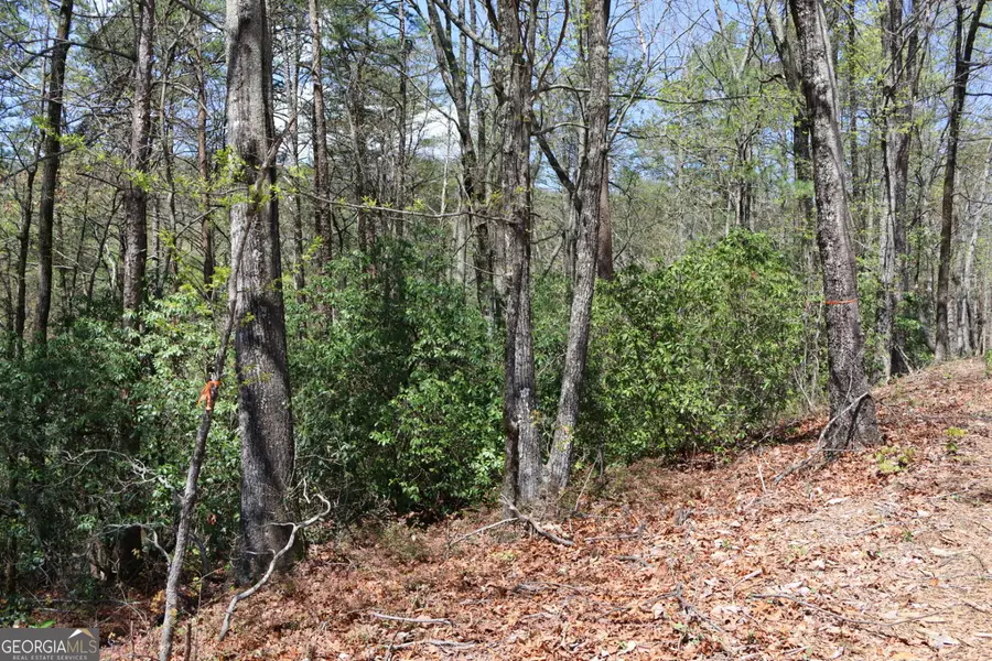 0 Chestatee Drive, Cleveland, GA 30528 - #3