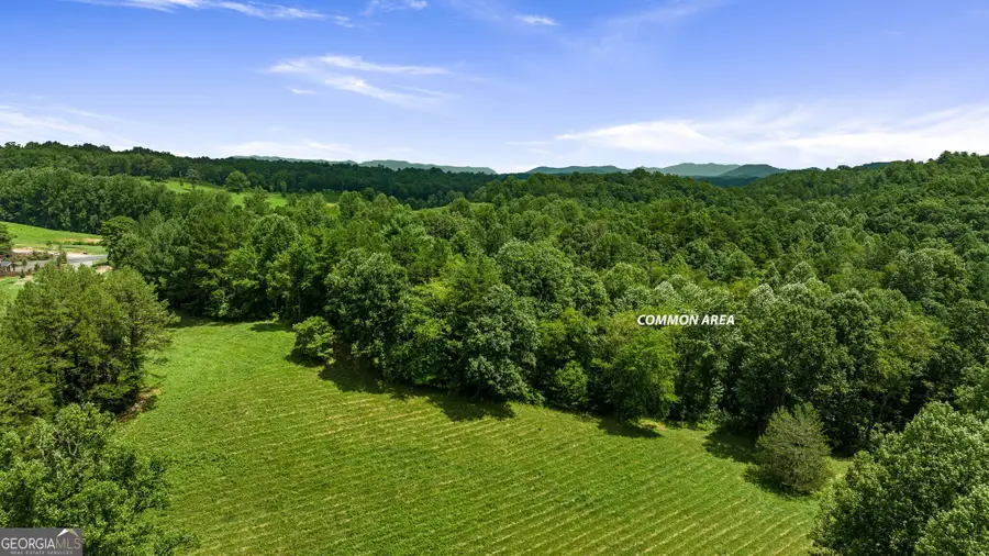 LOT 9 Waterstone, Mineral Bluff, GA 30559 - Image #3