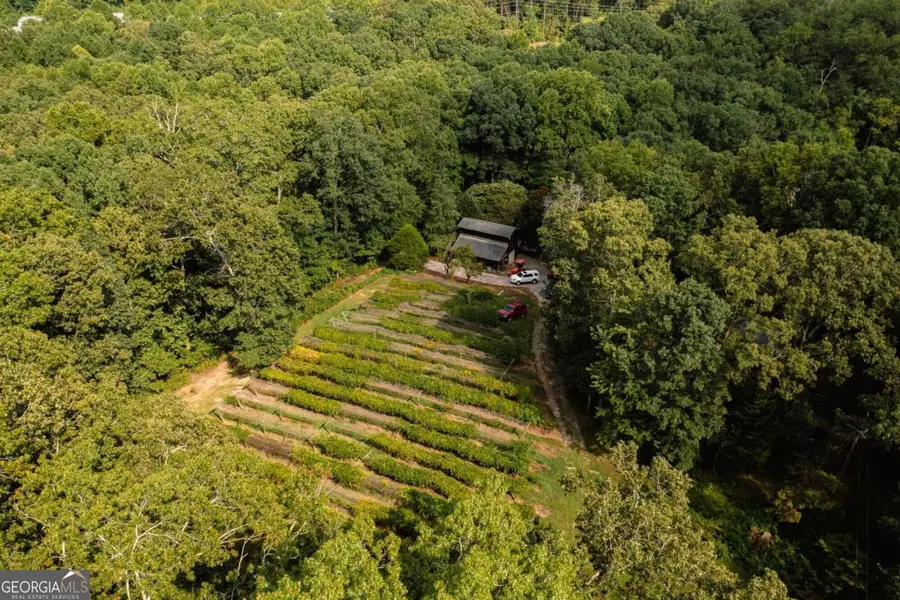 9975 Ball Ground Highway, Ball Ground, GA 30107 - Image #3