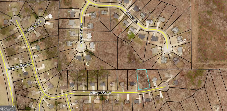 373 Farm Brook Lane, Dallas, GA 30157 - Image #2