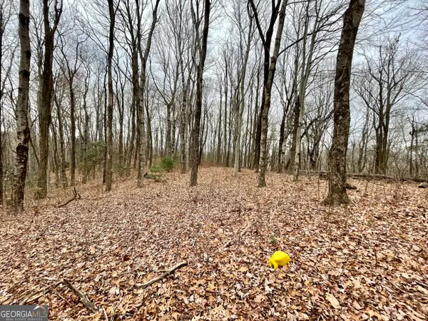 128 Locust Log Lane, Scaly Mtn, NC 28775