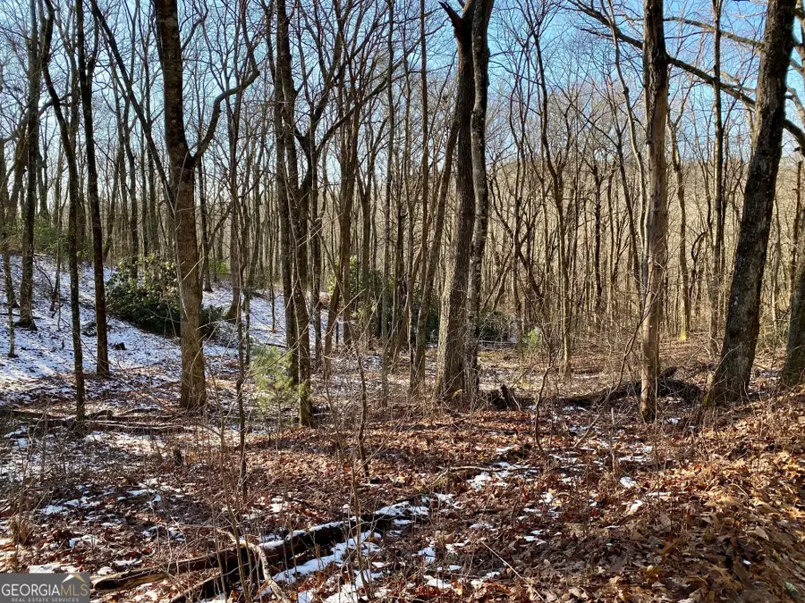 128 Locust Log Lane, Scaly Mountain, NC 28775 - Image #2