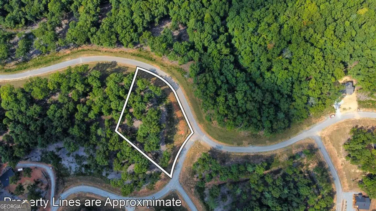 LOT 84 Ridge Drive, Morganton, GA 30560 - Image #1