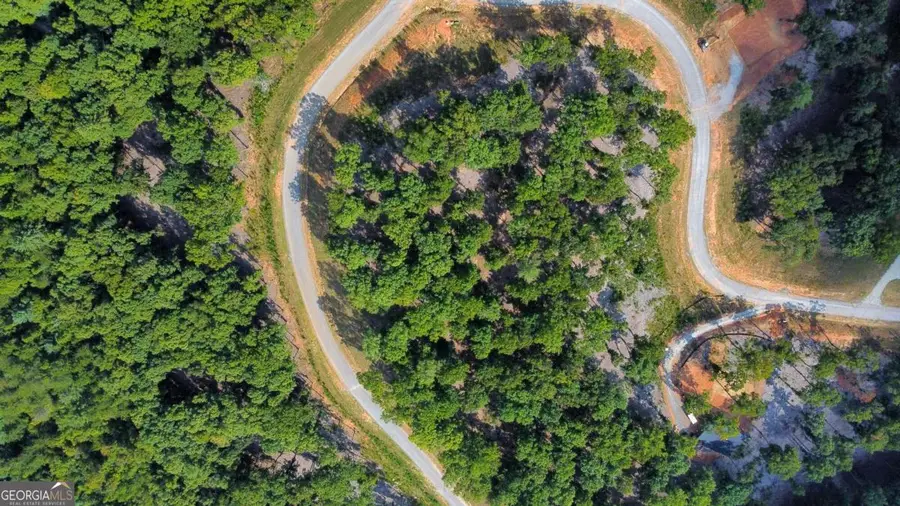 LOT 84 Ridge Drive, Morganton, GA 30560 - Image #2