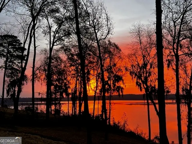 265 Cypress Cove Drive, Eufaula, AL 36027 - Image #3