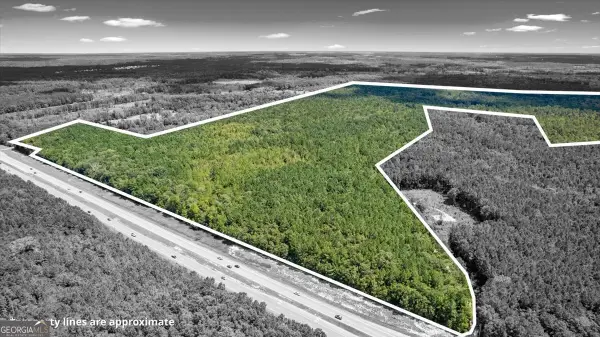 262.44 AC Leroy Coffer Highway, Fleming, GA 31309