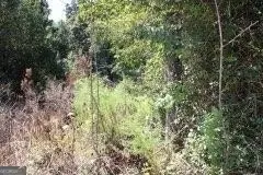 3206 East Fairview Road, Stockbridge, GA 30281 - Image #3