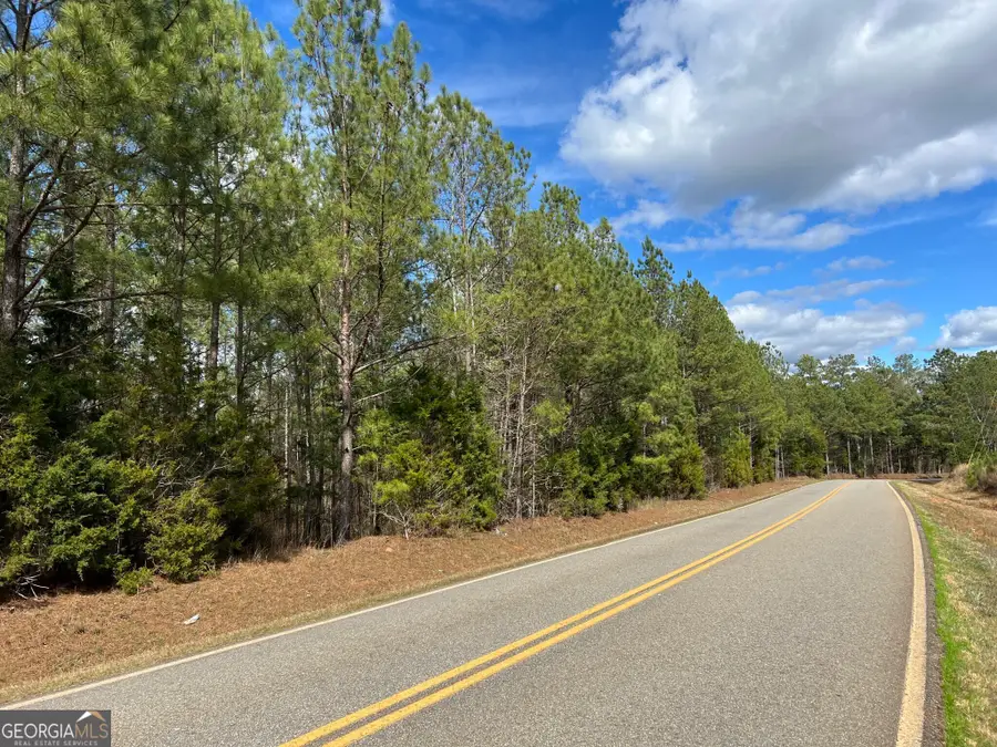 TRACT O1 Hulmes Chapel Road, Elberton, GA 30635 - Image #3
