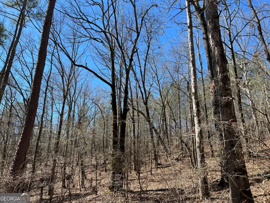 TRACT B1 Hulmes Chapel Road, Elberton, GA 30635 - Image #3