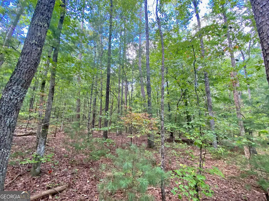 152AC Whitepath Road, Ellijay, GA 30540 - #3