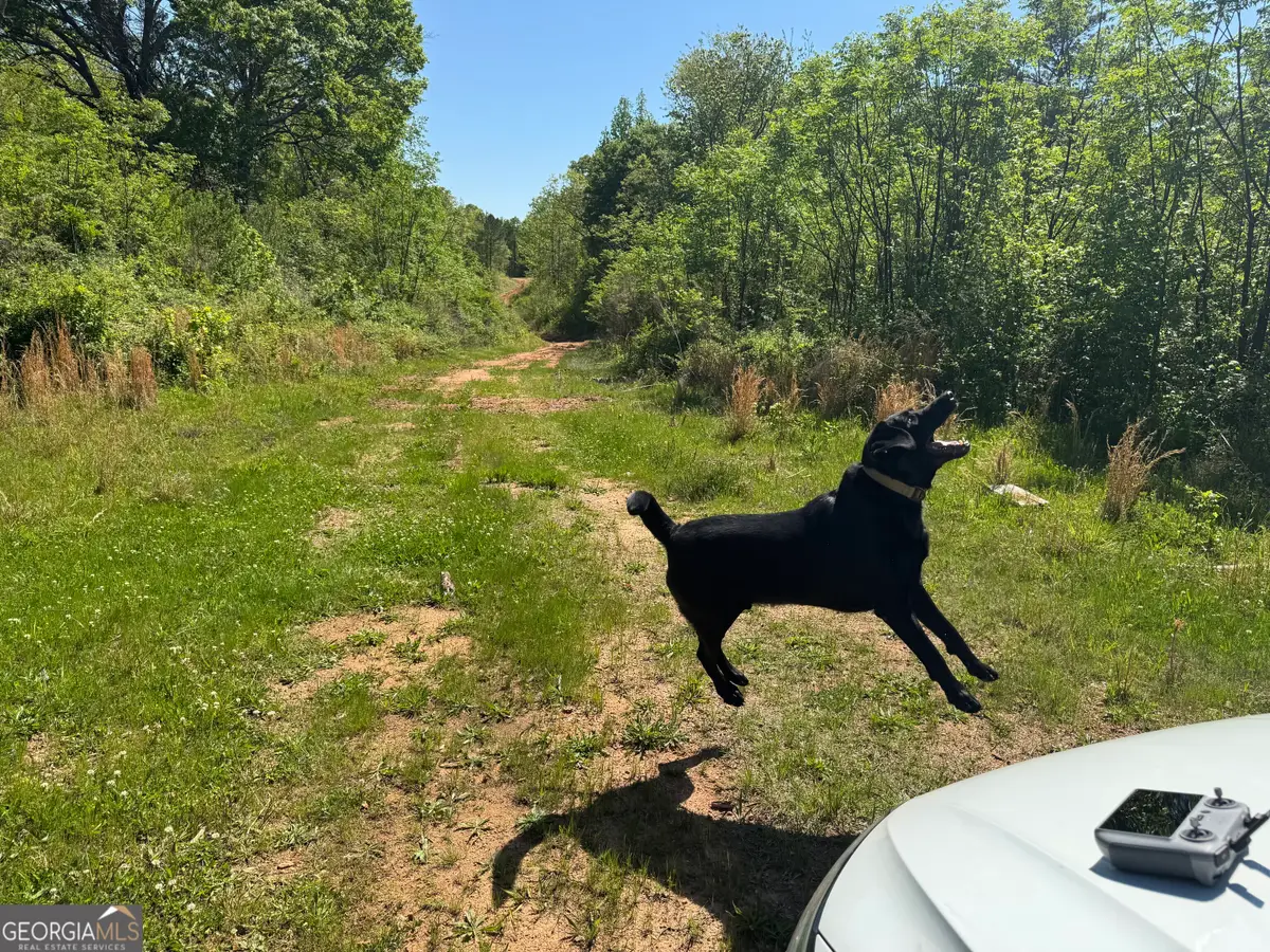 0 Us 53 Highway, Bogart, GA 30622 - Image #1