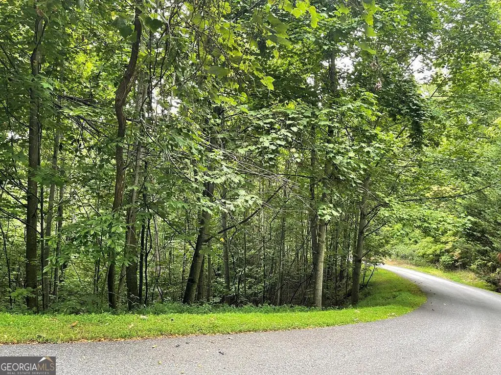 LOT 32 J Mountain Harbour, Hayesville, NC 28904 - Image #1