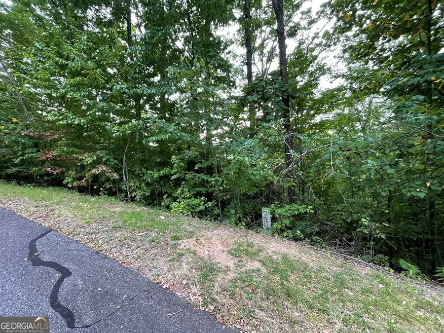 LOT 32 J Mountain Harbour, Hayesville, NC 28904 - Image #2