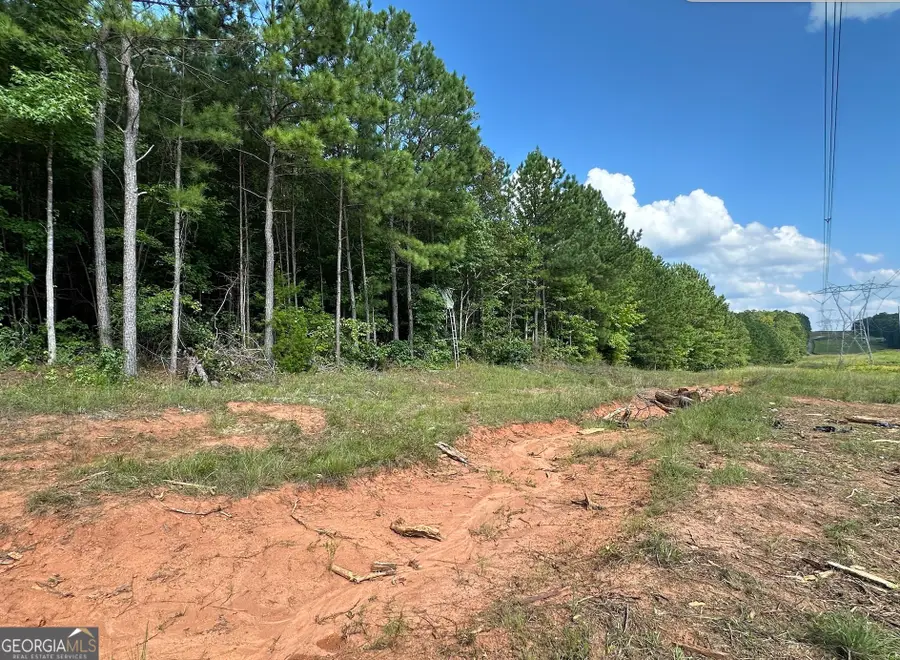 831 Holbrook Road, Newnan, GA 30263 - #3