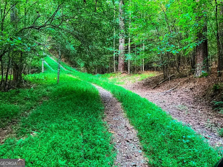 0 Legion Road #241 ACRES, Ellijay, GA 30540 - Image #2