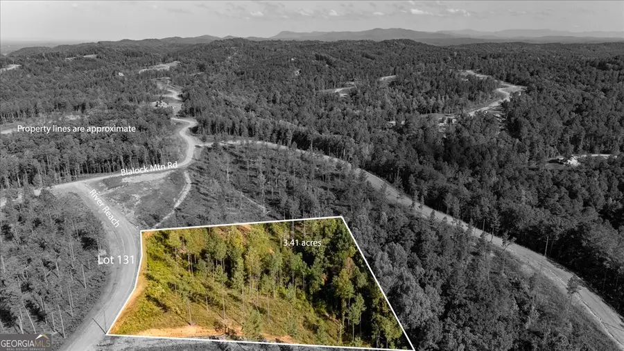 LOT 131 River Reach Lane, Talking Rock, GA 30175 - Image #2