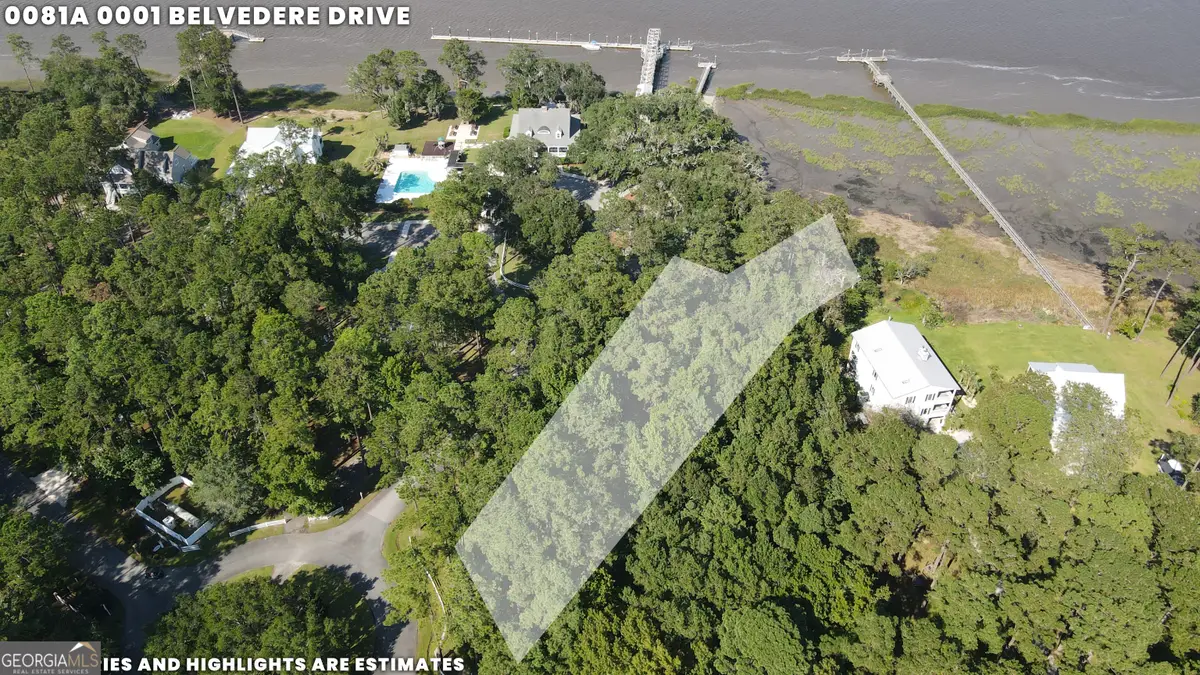 LOT 1 Belvedere Drive, Townsend, GA 31331 - Image #1