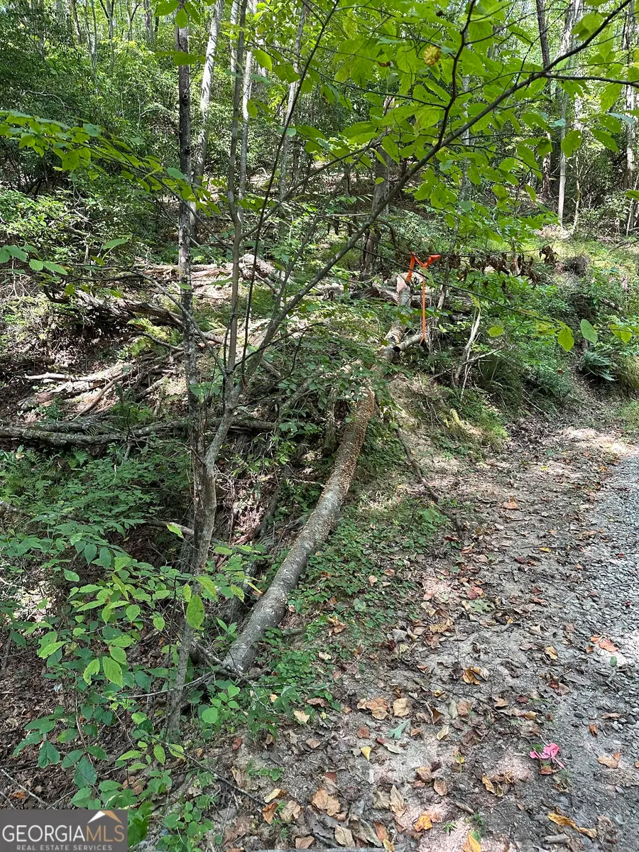 TRACT A Fielder Road, Ellijay, GA 30536 - Image #3