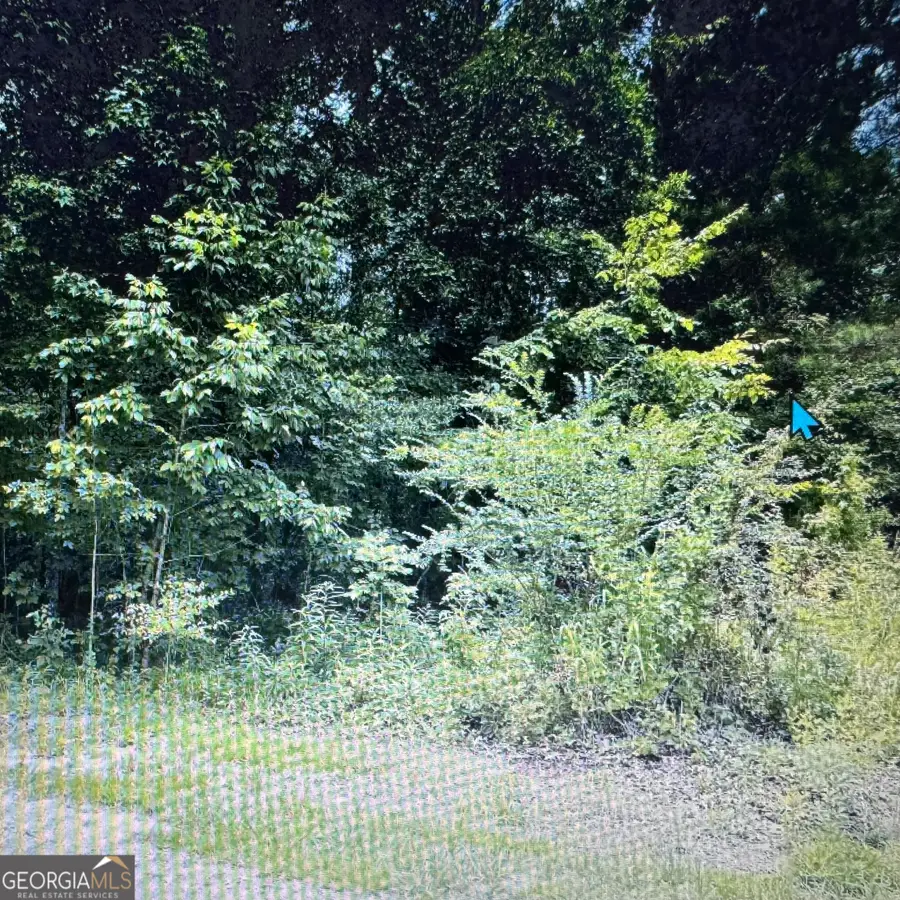 0 Deer Rune Lane, Cedar Bluff, AL 35960 - Image #3