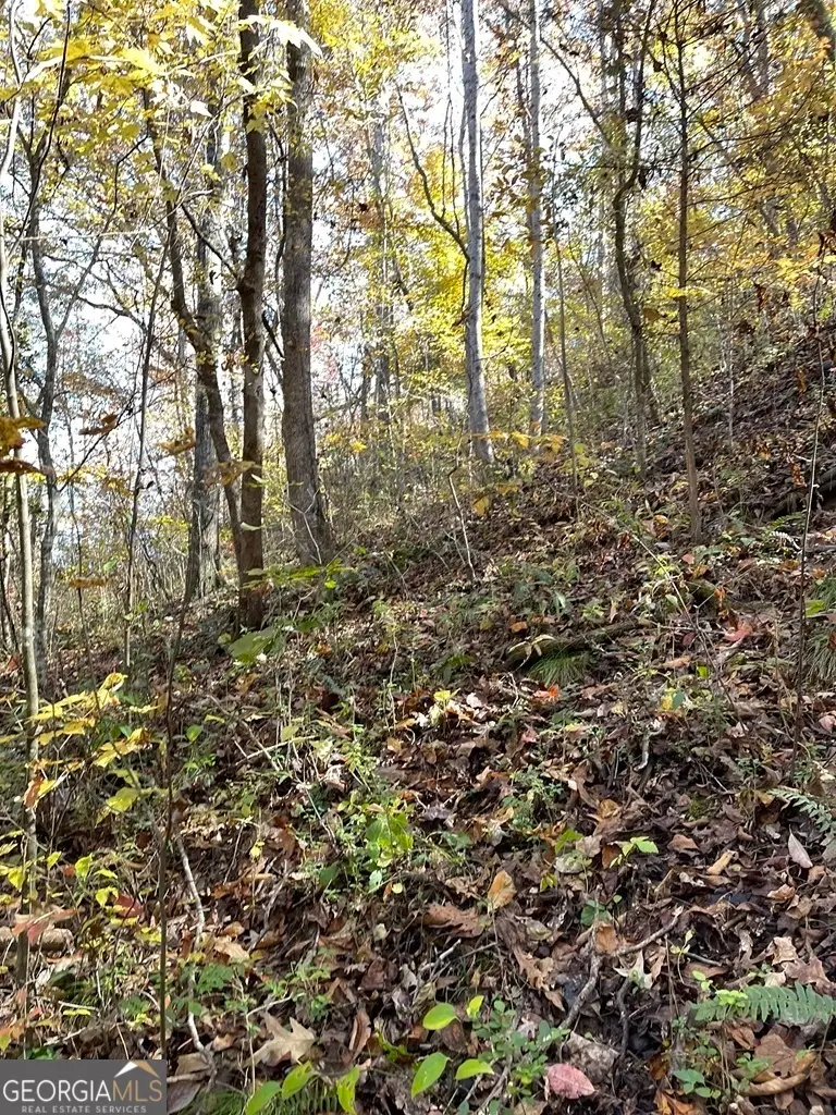 161 Chauga Shoals Drive, Westminster, SC 29693 - Image #2